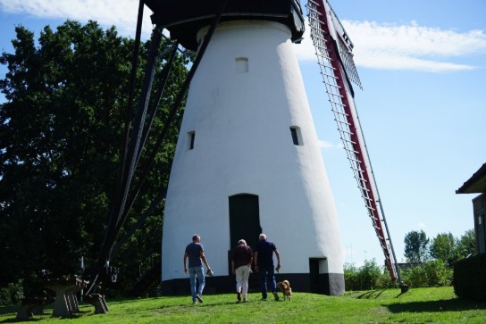 (vergroot foto)