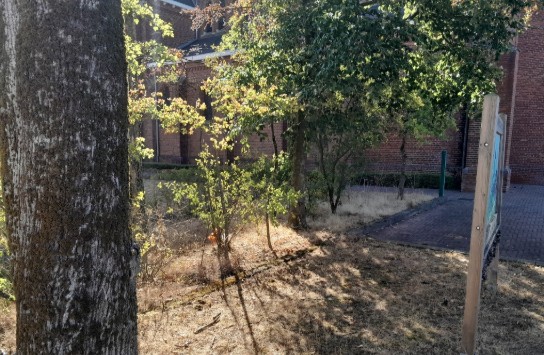 (vergroot foto)