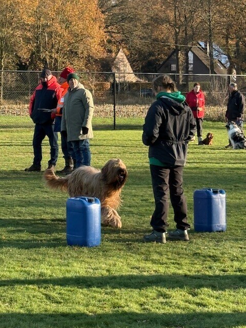  (vergroot foto)