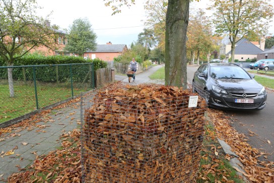 (vergroot foto)