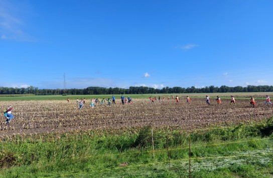(vergroot foto)